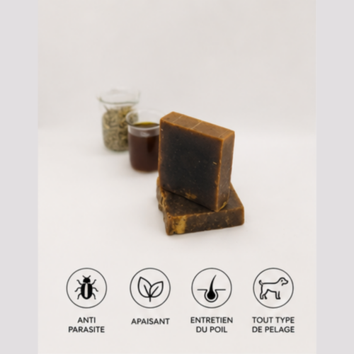 Shampoing solide naturel pour chiens – Antiparasite & apaisant